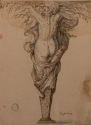 Daphné changée en laurier